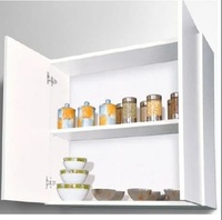 Wall Shelf Unit