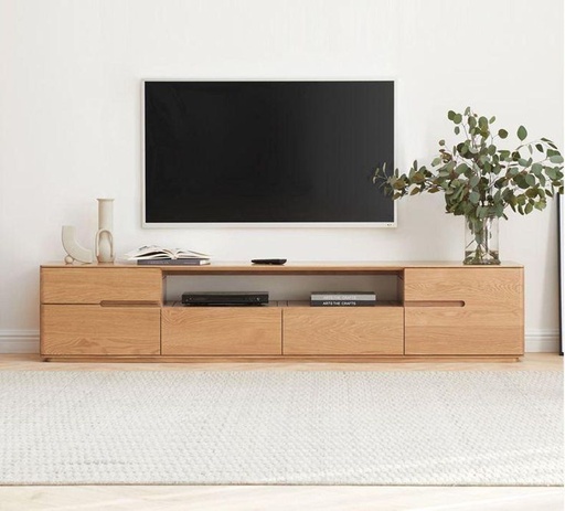 StellarMount TV Station